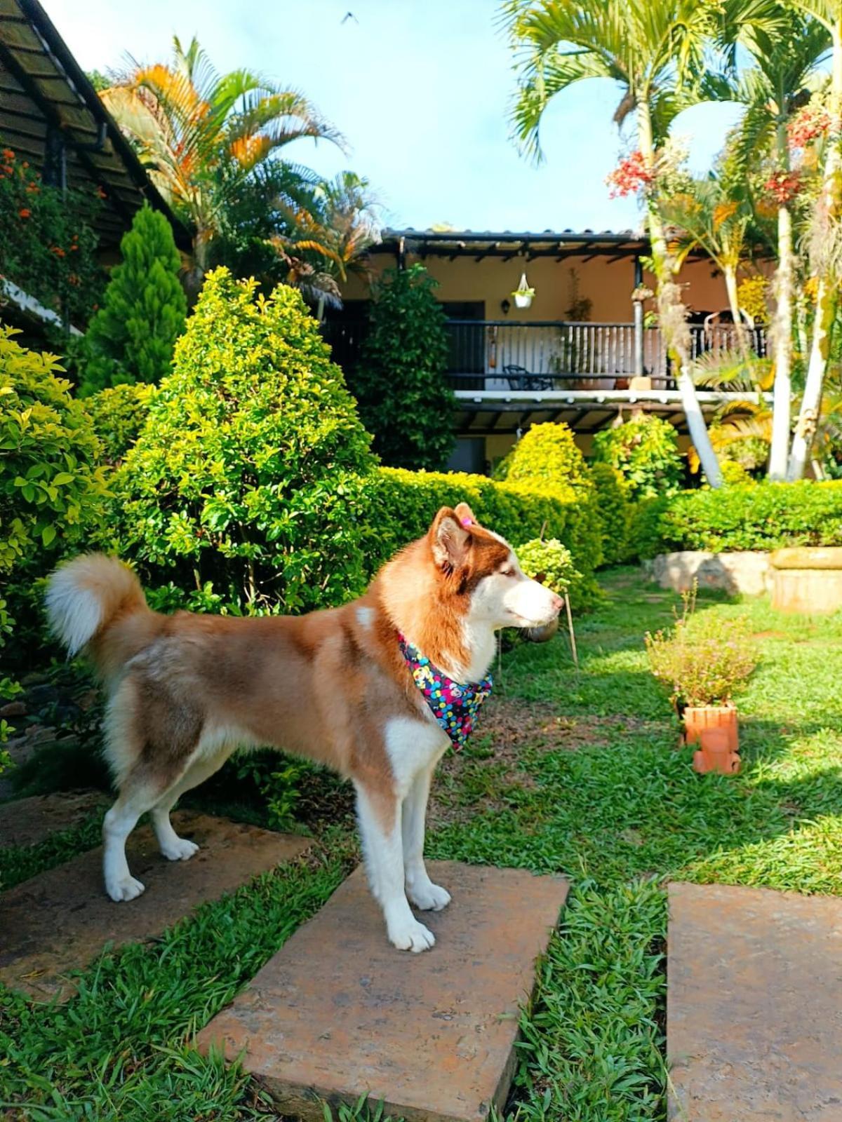 Hotel Campestre Casona Del Camino Real San Gil Eksteriør bilde